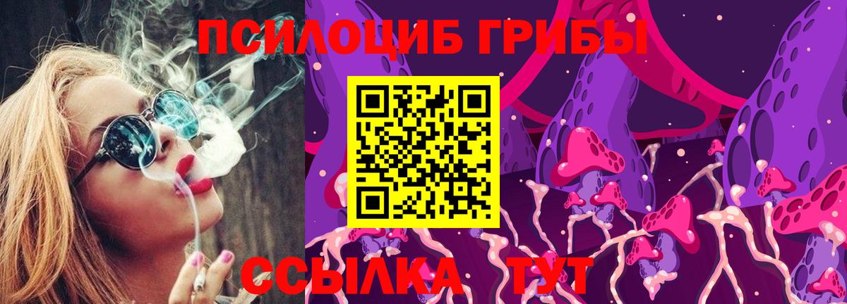 Медногорск  Псилоцибиновые грибы Psilocybe  продажа наркотиков  Вход с VPN 